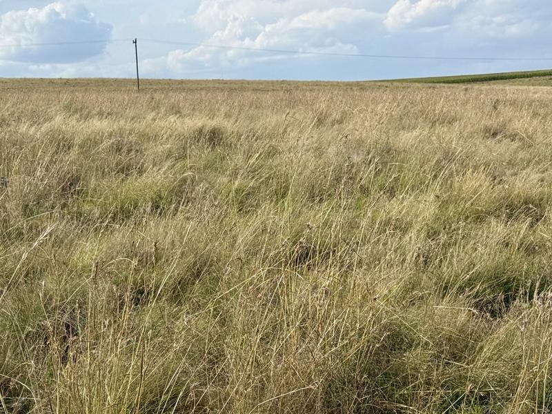 0 Bedroom Property for Sale in Harrismith Free State